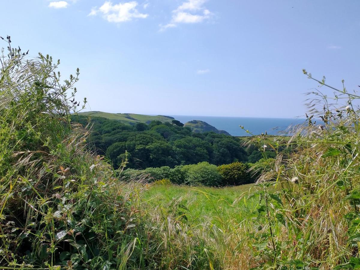 The Mill Villa Tintagel Dış mekan fotoğraf